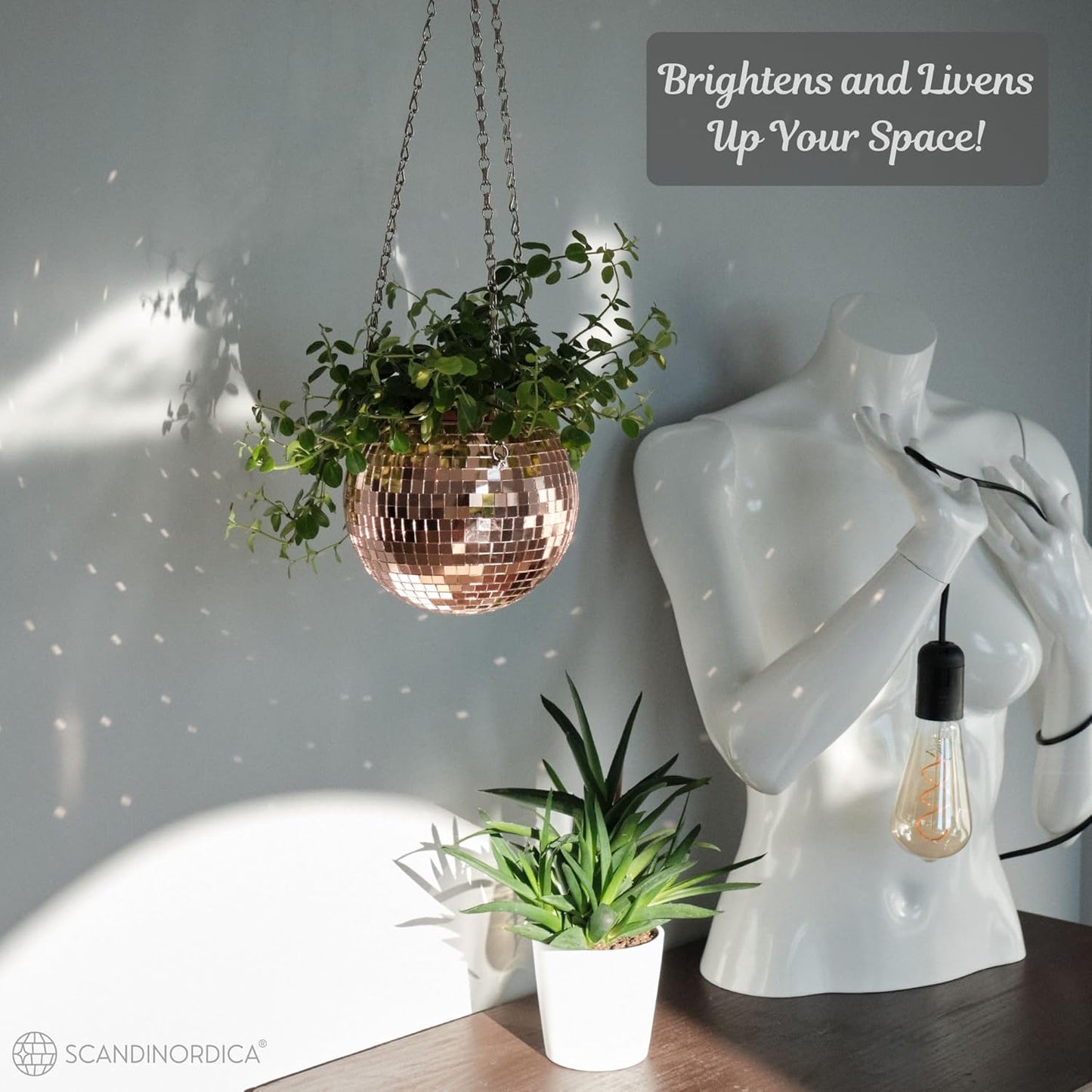 Disco Ball Planter – Value Package: Mirror Disco Planter with Chain, Macrame Hanger and Acrylic Stand for Desk, Includes Self Watering Insert, Quirky Gifts | 6 Inch Rose Gold